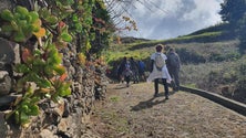 Imagem de Travessia a pé pelo Caminho Real 23 (áudio)