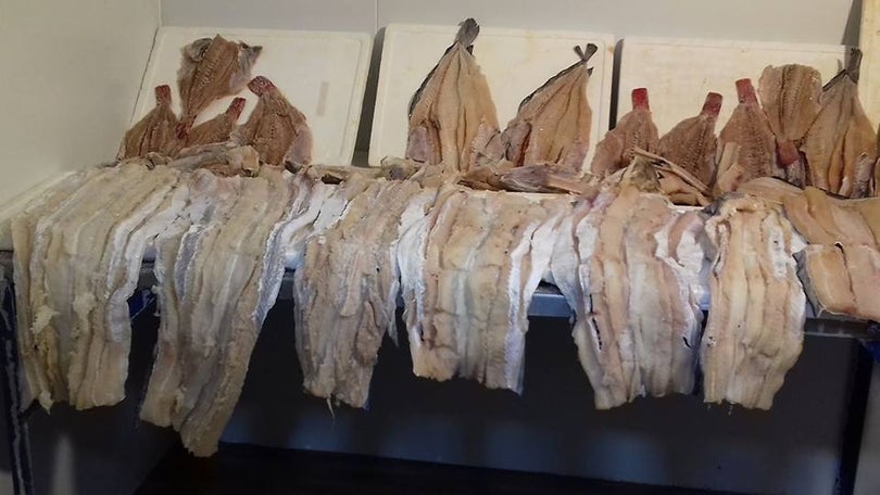 Imagem de Pesca na ilha