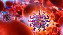 Imagem de Variante indiana pode ser 60% mais contagiosa