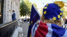 Imagem de Brexit: Um em cada cinco britânicos está a armazenar alimentos e medicamentos