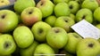 Imagem de Produtores de maçã não conseguem vender a produção (vídeo)