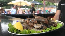 Imagem de Semana Gastronómica de Machico com grande procura do público