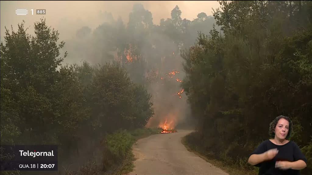 Meios aéreos ajudaram no combate às chamas em Castro Daire e São Pedro do Sul