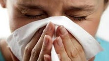 Imagem de Pico da gripe previsto para os próximos dias
