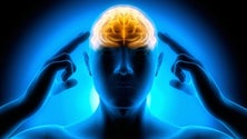 Imagem de Plano de Saúde Mental prevê seis centros de atendimento e consultas