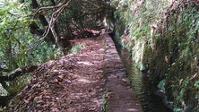 Imagem de Percurso do Caldeirão Verde já reabriu