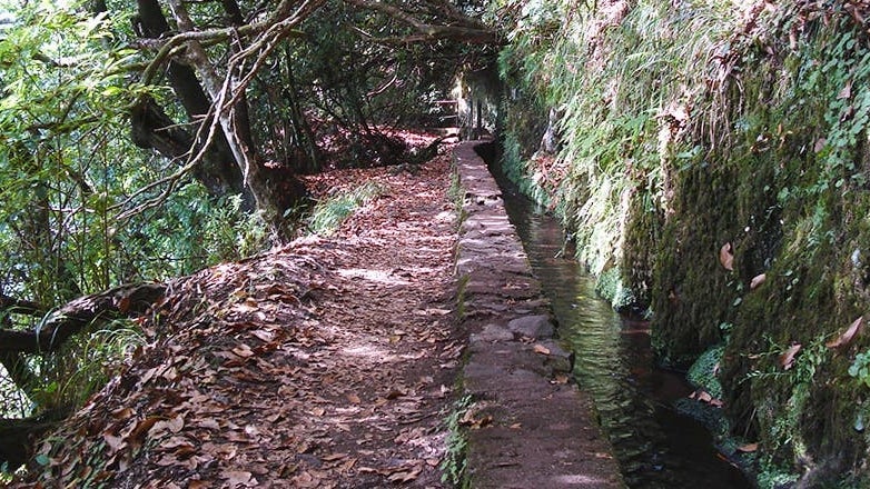 Imagem de Percurso do Caldeirão Verde já reabriu