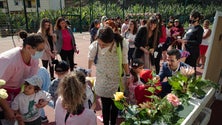 Imagem de IHM promoveu «Bairro em Flor» para cerca de 650 participantes