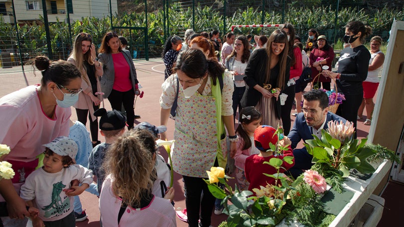 Imagem de IHM promoveu «Bairro em Flor» para cerca de 650 participantes
