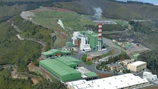 Imagem de A Madeira produziu 169,3 mil toneladas de resíduos em 2015