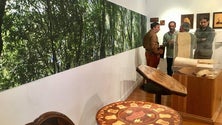 Imagem de ‘Traços de Madeira’ em exposição no Museu Etnográfico