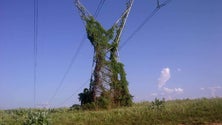 Imagem de Cortes de energia podem ter origem na falta de manutenção da rede elétrica da Venezuela