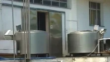 Imagem de Lavradores das Flores apostam na carne