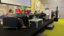 Imagem de Madeira tem papel importante no desenvolvimento sustentável (vídeo)