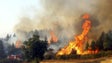 Incêndios: Portugal é o campeão europeu onde todos os anos arde mais de 3% da floresta – WWF