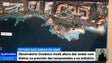 Imagem de Observatório Oceânico da Madeira desafia governo a investir no estudo do mar