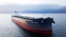 Imagem de Armador alemão quer registar «mais navios» na Zona Franca da Madeira