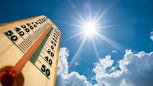 Imagem de Madeira sob aviso amarelo devido ao tempo quente