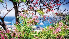 Imagem de Funchal com a melhor qualidade do ar na Europa