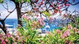 Imagem de Funchal com a melhor qualidade do ar na Europa