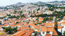 Imagem de Conselho Consultivo inicia reuniões para traçar Plano de Recuperação da Economia da Madeira (Áudio)