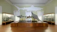 Imagem de Museu de História Natural do Funchal continua com entrada grátis