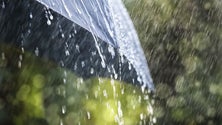 Imagem de Madeira vai estar sob aviso amarelo