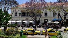Imagem de Funchal quer ser uma cidade humana