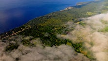 Imagem de No Pico, o preço do leite à produção não cobre a despesa (Vídeo)