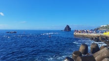 Imagem de Madeira recebe prova de águas abertas do circuito mundial (vídeo)