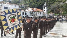 Governo promete alargar efetivo da polícia florestal