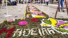 Imagem de Tapetes de flores são marca identitária da Madeira (vídeo)