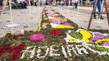 Tapetes de flores são marca identitária da Madeira (vídeo)