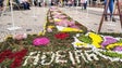 Imagem de Tapetes de flores são marca identitária da Madeira (vídeo)