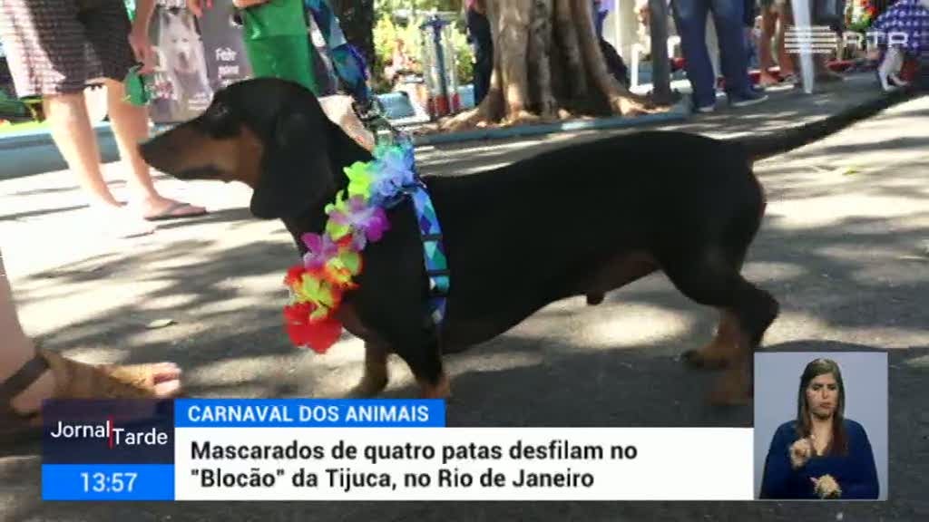 Animais de hoje e de ontem desfilam neste ″Carnaval″