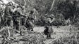 Imagem de Antigos militares da Madeira procuram ex-combatentes