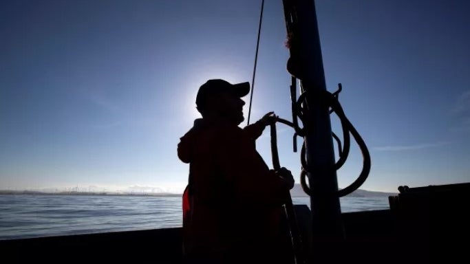 Imagem de Açores reivindicam reforço da quota do atum patudo