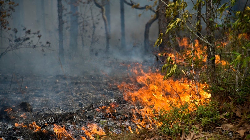 Focos de incêndios nas serras em fase de rescaldo