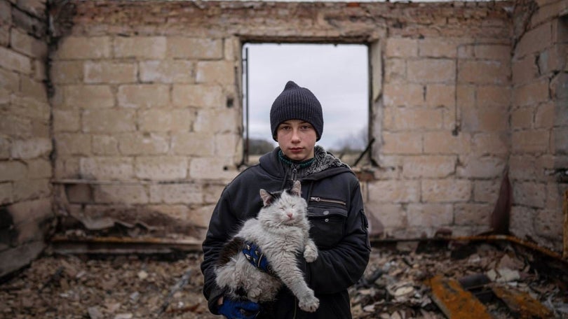 Imagem de Seis milhões necessitam de assistência humanitária