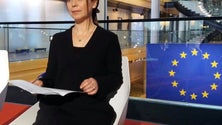 Imagem de Liliana Rodrigues integra a lista do PS ao Parlamento Europeu