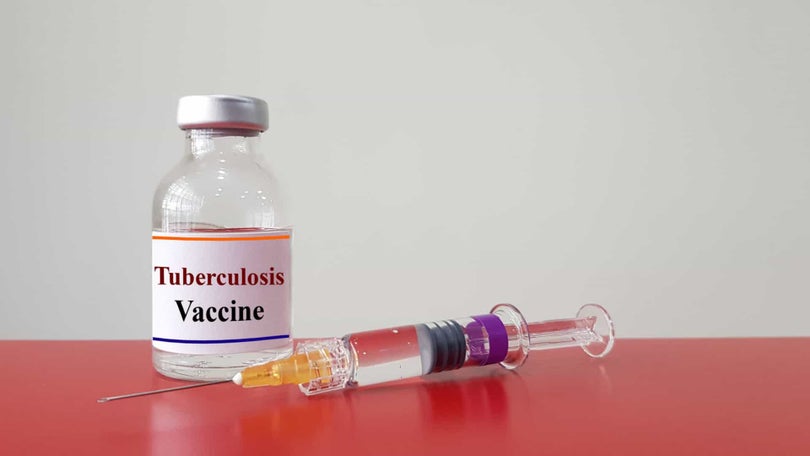 Imagem de Novos estudos indicam que a vacina contra a tuberculose pode evitar sintomas graves de Covid-19