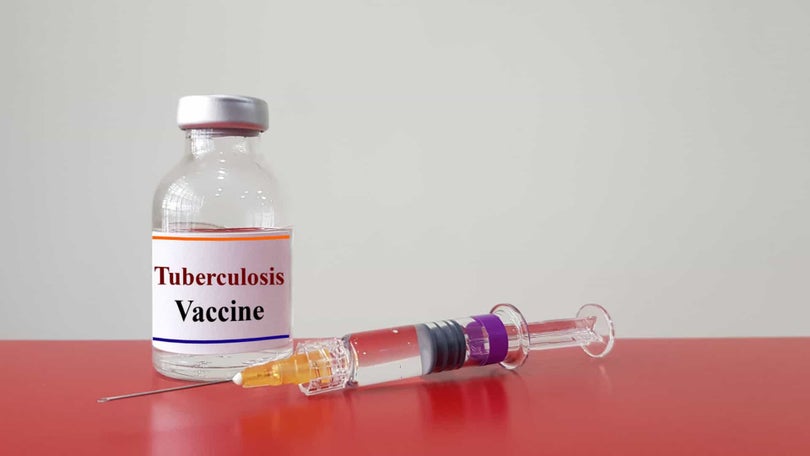 Novos estudos indicam que a vacina contra a tuberculose pode evitar sintomas graves de Covid-19