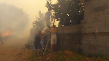 Habitantes da Maloeira ajudam bombeiros a salvar propriedades (vídeo)