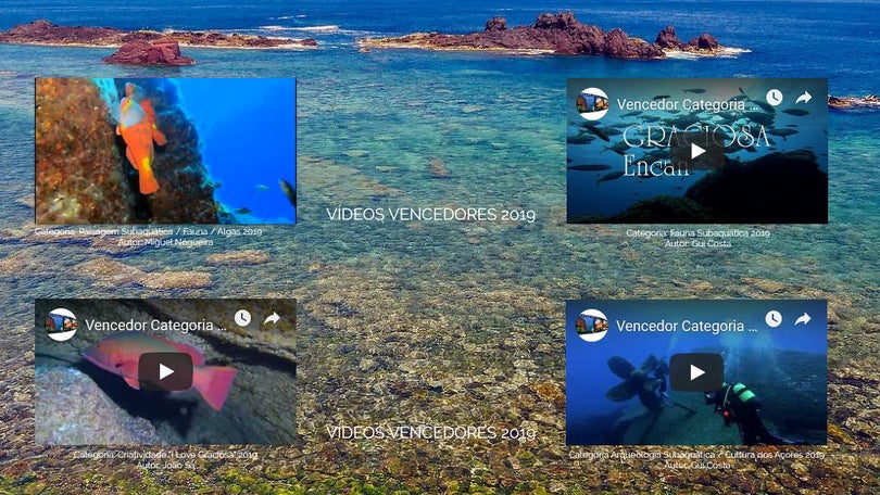 Imagem de Encanto Azul (VÍDEOS)