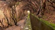 Madeira vai ter novos percursos pedestres recomendados