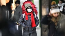 Imagem de Covid-19: Alemanha regista quase 60 mil casos curados