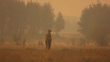 Imagem de Fumo dos incêndios no Canadá alcança a Noruega