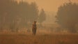 Imagem de Fumo dos incêndios no Canadá alcança a Noruega
