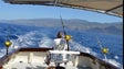 Quotas de pescado para a Madeira ainda não estão definidas