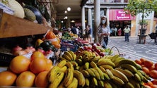 Imagem de Comerciantes queixam-se da falta de estacionamento (vídeo)